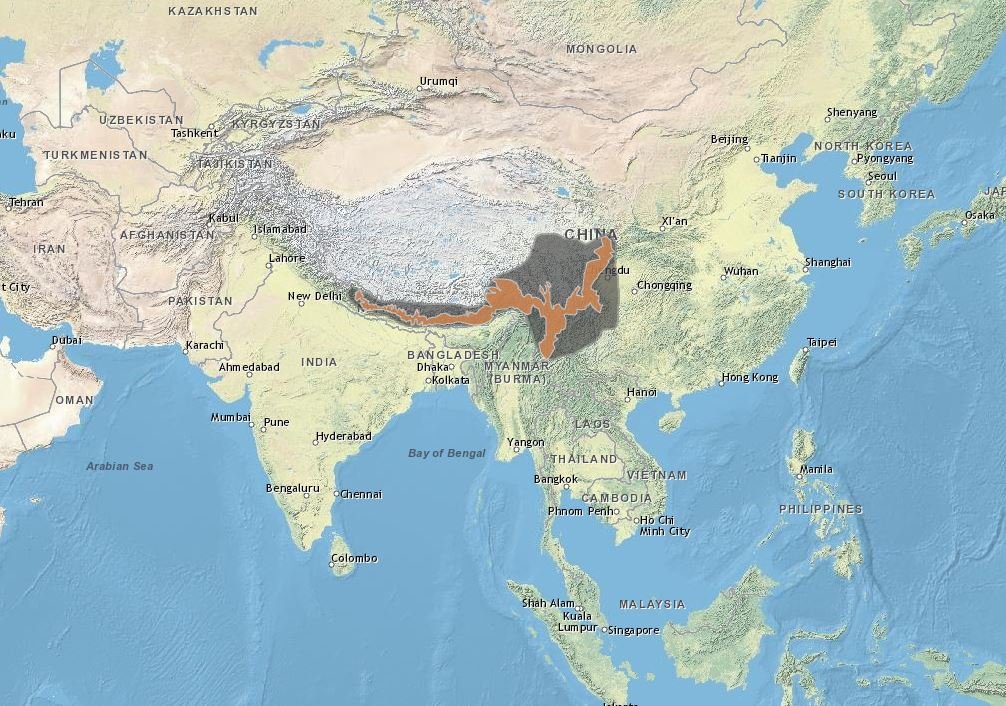 Map showing the natural range of red pandas across Nepal, India, Bhutan, Myanmar, and China